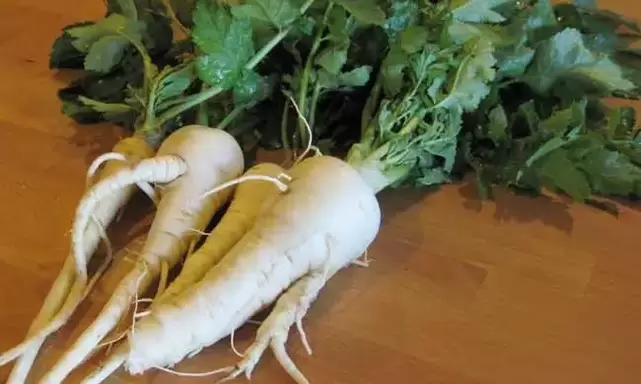 Using parsnip root as a seasoning can increase potency. 